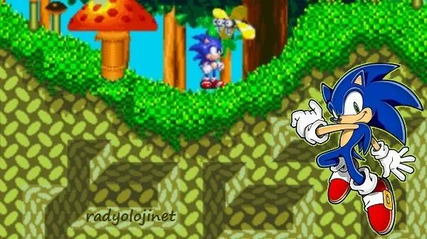 Sonic Play Game Online
