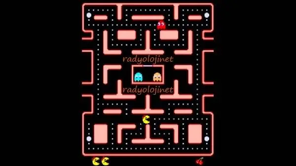 Ms Pacman 🕹️ Play Game Online
