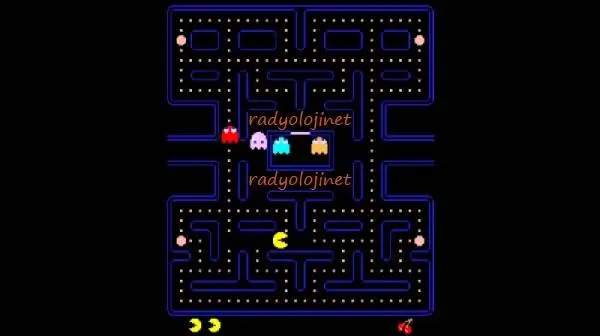 Pacman 🕹️ Play Game Online