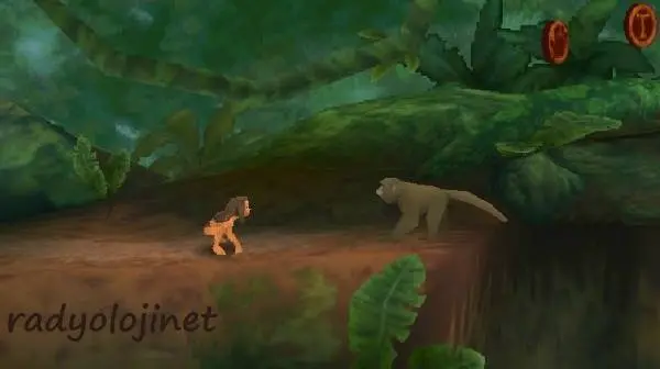 Tarzan 🕹️ Play Game Online