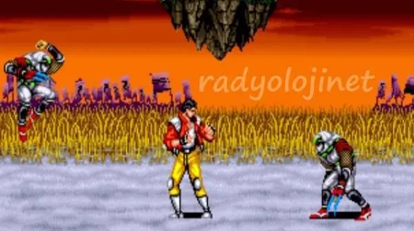 Sengoku 🕹️ Play Game Online | Sengoku Densho 🕹️ Play Game Online