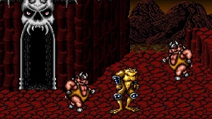 Battletoads In Battlemaniacs