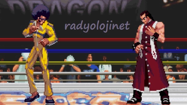 Rage Of The Dragons 🕹️ Play Game Online