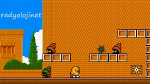 Play 🕹️ The NewZealand Story 🕹️ Game Online