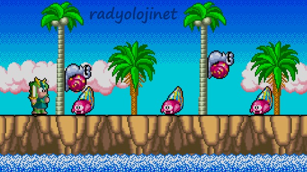 Play 🕹️ Wonder Boy 3 - Monster Lair 🕹️ Game Online