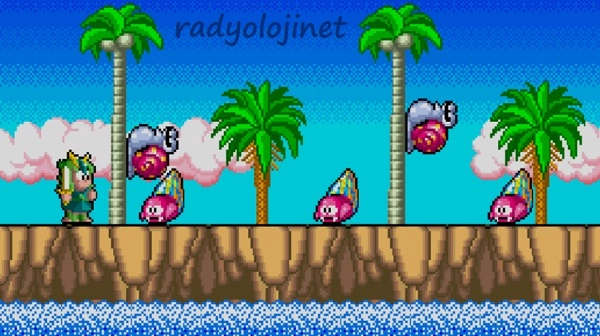 Wonder Boy 3 🕹️ Play Game Online