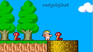 Play 🕹️ Wonder Boy In Monster Land 🕹️ Game Online