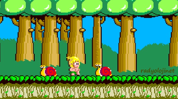 Play 🕹️ Wonder Boy 🕹️ Game Online
