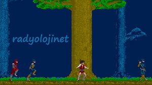 Play 🕹️ The Legend of Kage 🕹️ Game Online