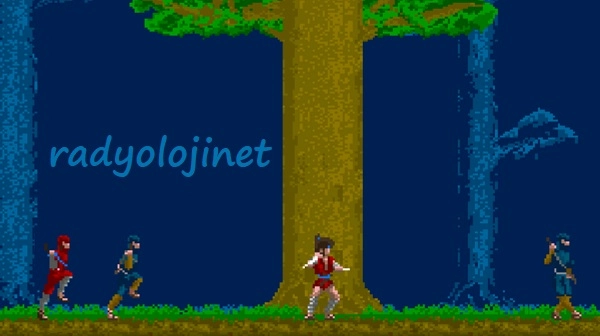 The Legend Of Kage 🕹️ Play Game Online