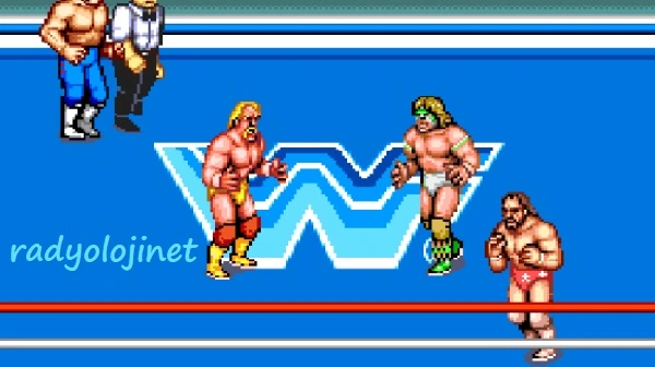 WWF Superstars 🕹️ Play Game Online