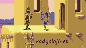 Play 🕹️ Desert Demolition Starring Coyote And Road Runner 🕹️ Game Online